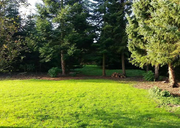 Schneider Butjadingen